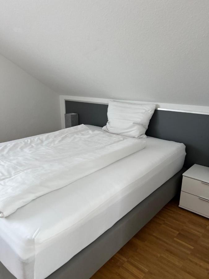 New Age Boardinghaus Bad Wimpfen Aparthotel Buitenkant foto