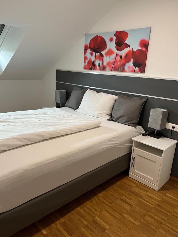 New Age Boardinghaus Bad Wimpfen Aparthotel Buitenkant foto